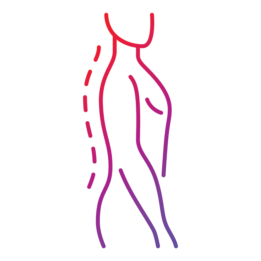 Vector image of a human with a straight spine highlighted